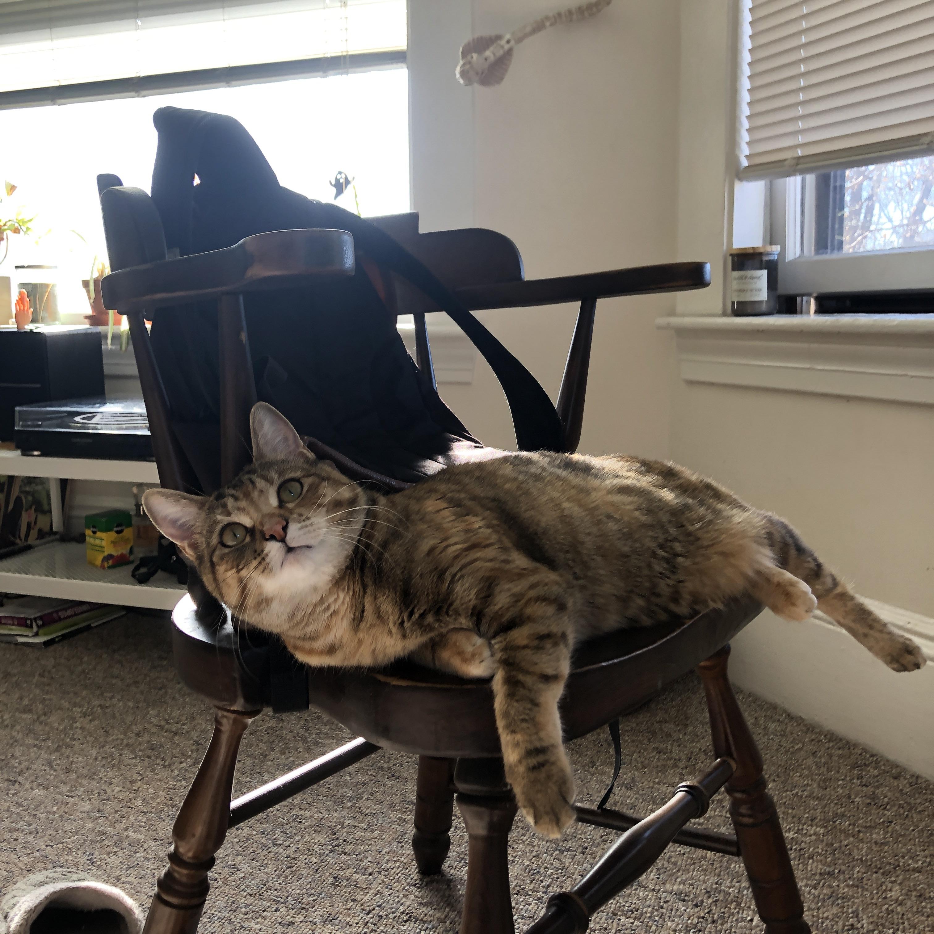 开云体育APP下载-烽火灼城记，贝恩三节暴走焚鹈鹕，萨克拉门托的现代战争艺术