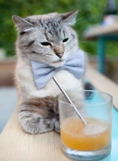 利拉德时间，在第三节提前响起—当老鹰的翅膀被一句晚安悄然折断