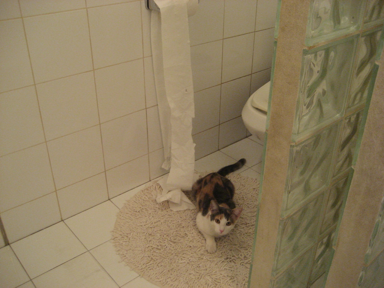 跨洋对决，热火争冠战力克广东队，小贾伦防守端锁死对手铸就胜利