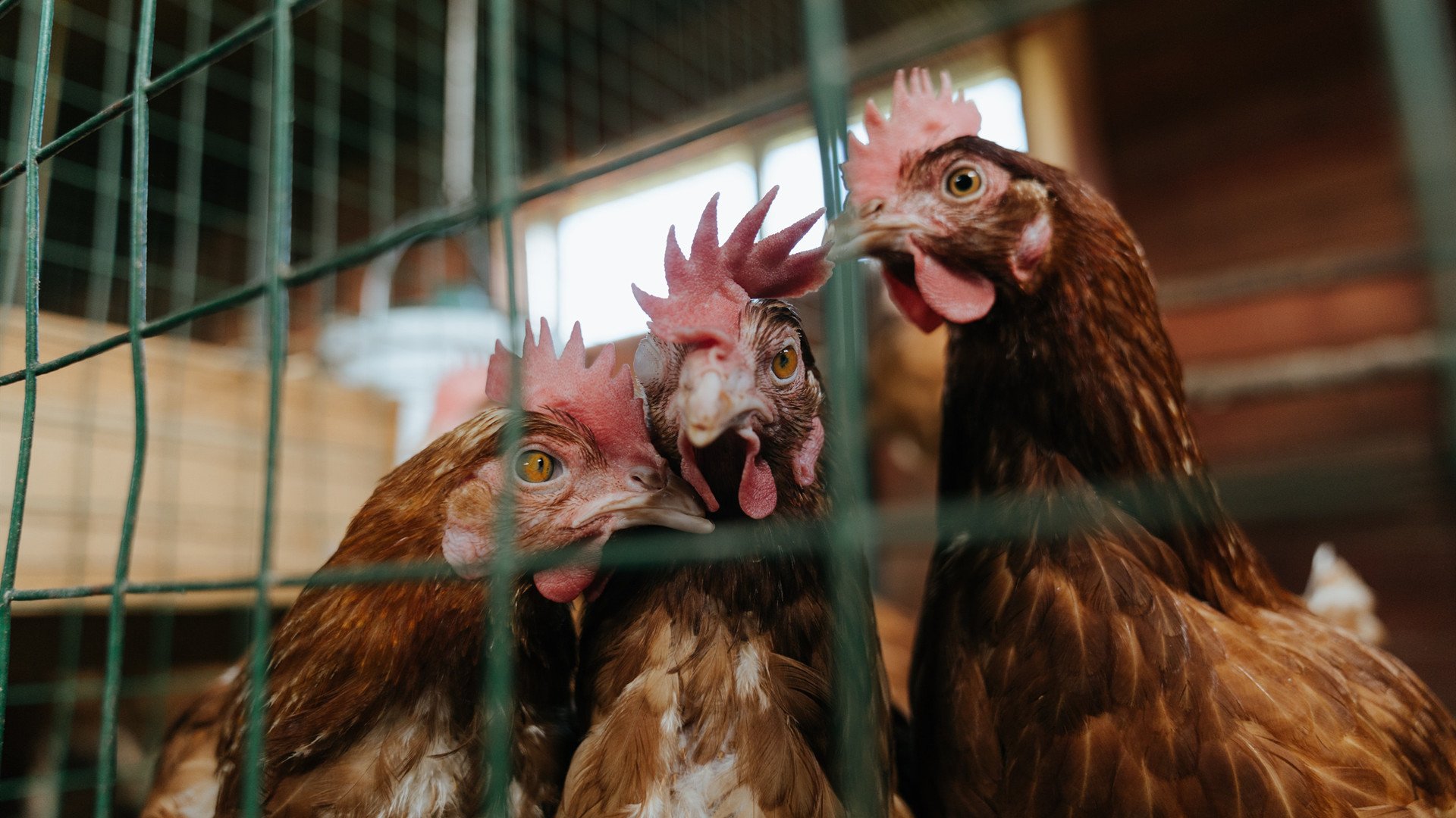 极速狂飙与独舞巅峰,那个夜晚,人类极限在两个赛场同时轰鸣
