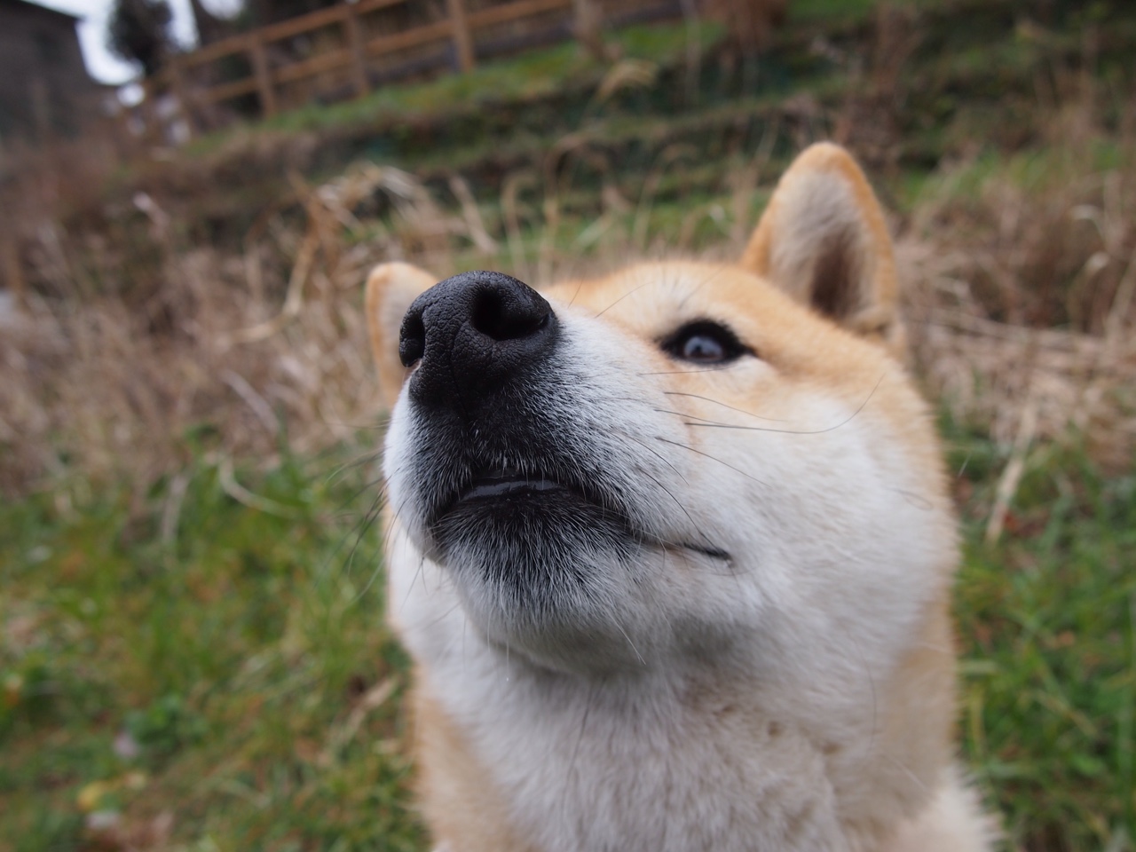 天山雪豹对阵费城图腾,爱德华兹的冰与火之歌