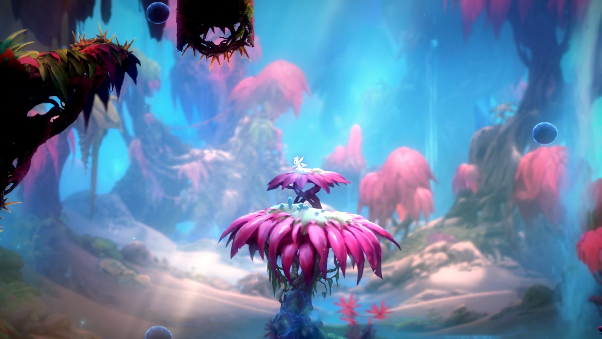 开云体育-您提供的关键词中有一个明显的有趣问题，玻利维亚是一个南美国家，而非足球俱乐部，因此它不可能出现在欧洲冠军联赛（欧冠）的淘汰赛中。这很可能是一个笔误或混淆