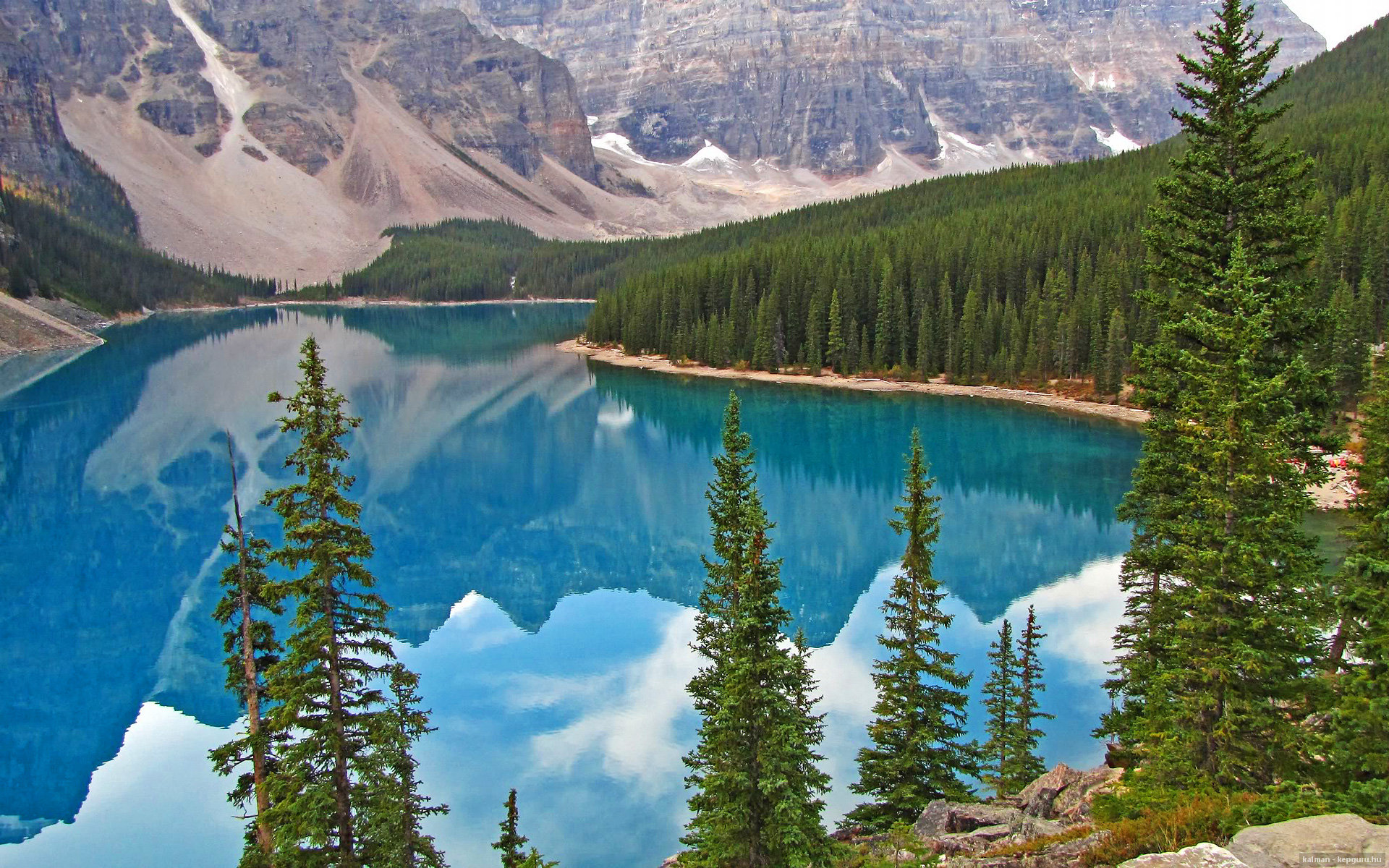 开云体育2026-极速与肌肉，顶级竞技的硬仗基因解码