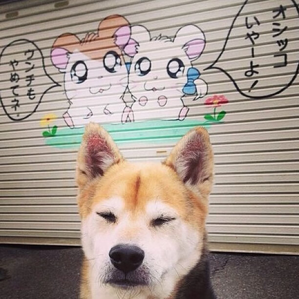 开云体育在线-世界排名争夺战之夜，佩德里赛后评分拉满，诠释天才本色