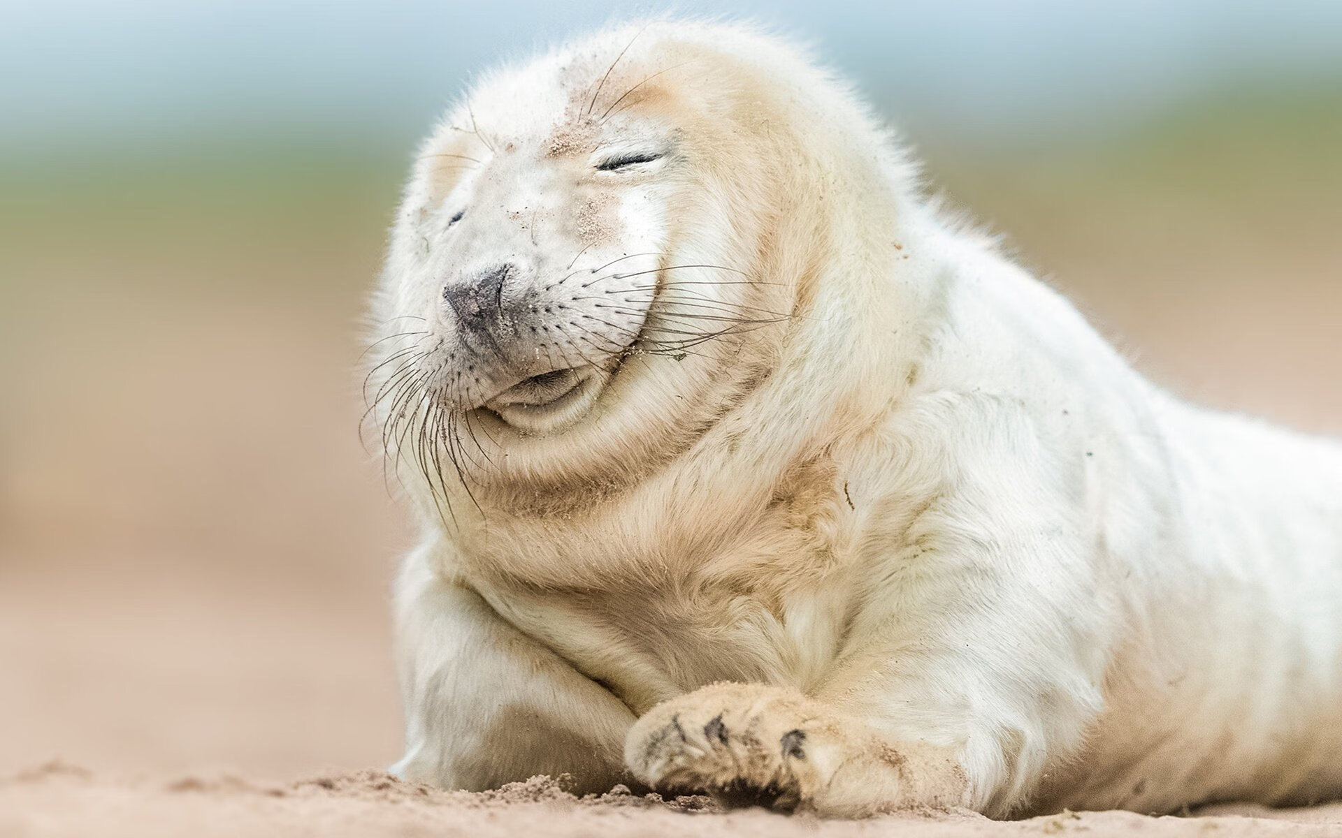 公牛逆袭上海滩，德罗赞能否在美加墨世界杯上演降维打击？