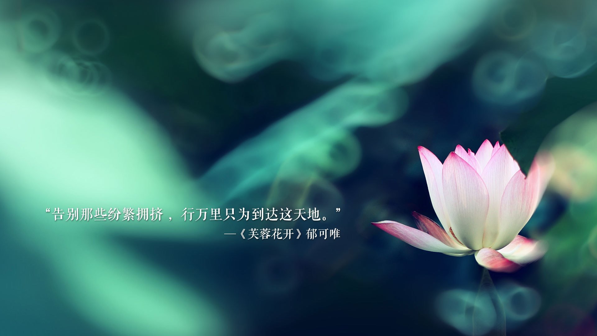 冷峻北境击碎亚平宁烈日,萨卡如何在维京战阵中完成自我加冕