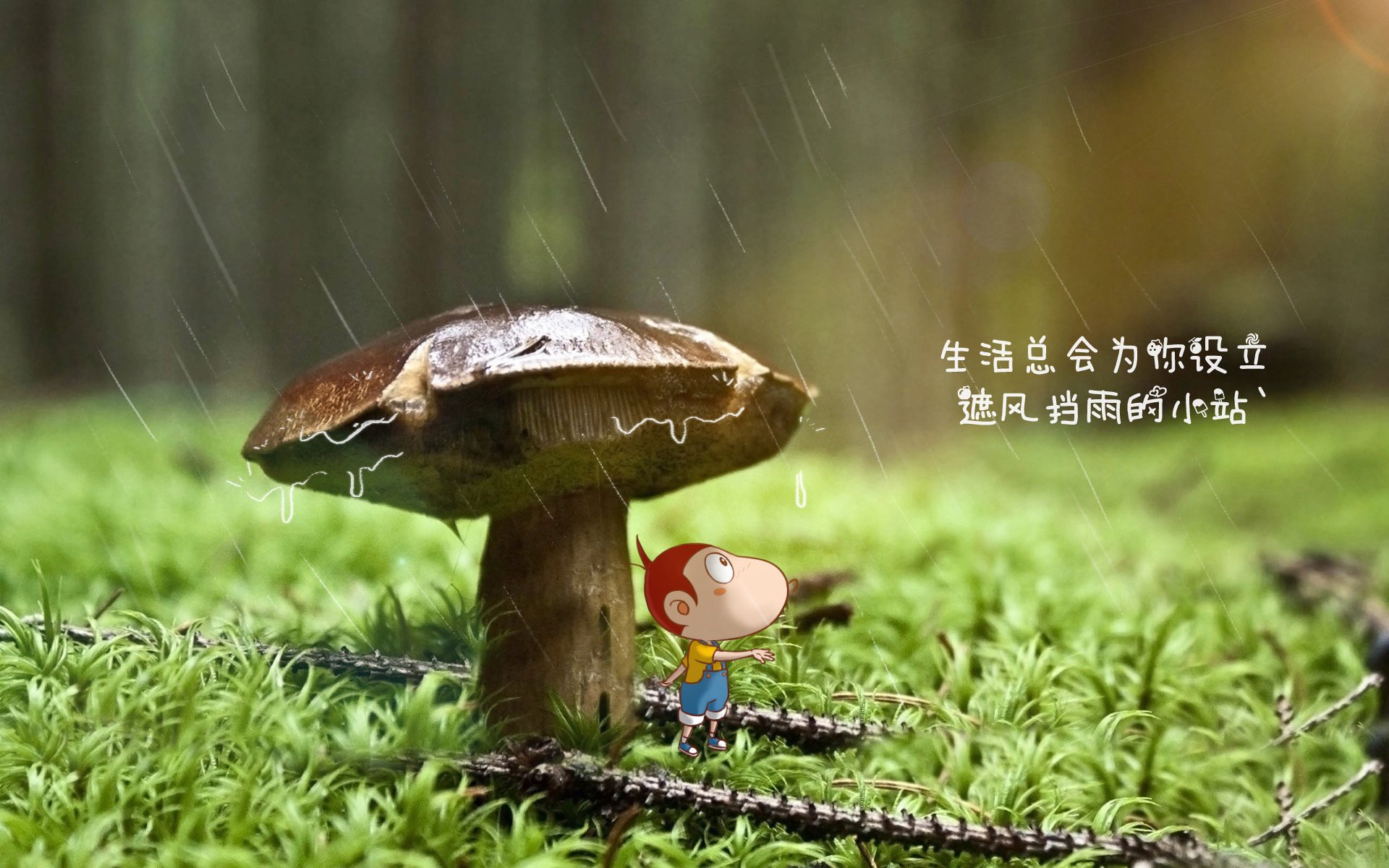 冰封终章,七英尺的叹息之墙如何定义总决赛的唯一一夜