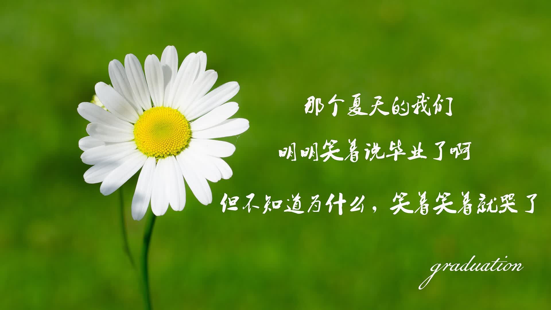 下面,我将为你呈现一个完整的构思