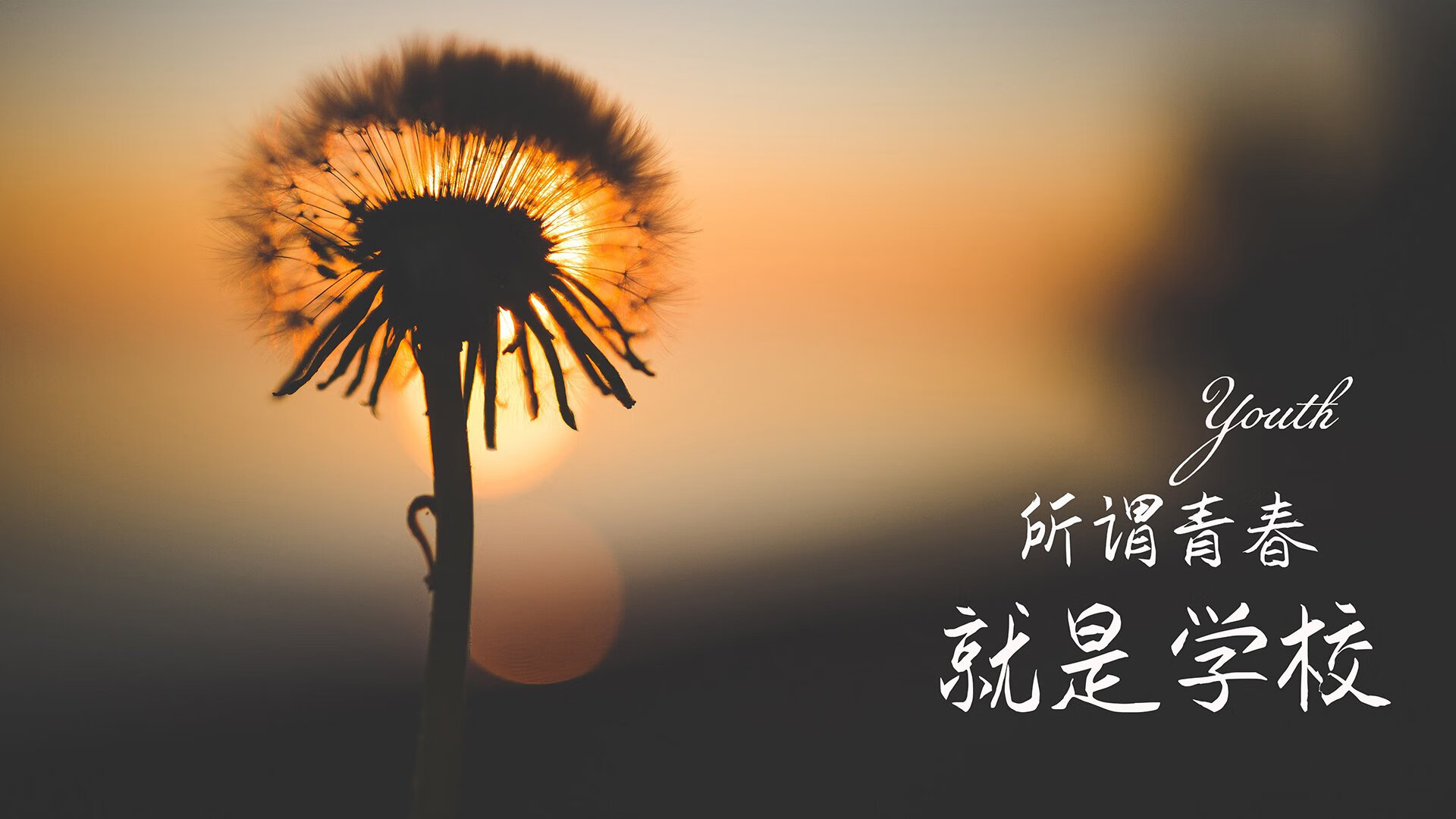 2026世界杯B组,格列兹曼的独舞,与泰国足球的新纪元—一场节奏如电的非对称强强对话