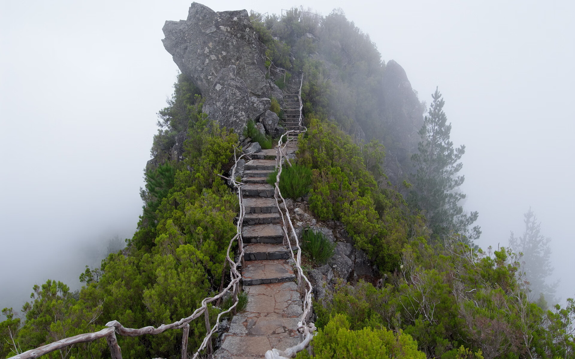 开云体育入口-沙漠之狐的逆袭，归化神兵坎塞洛一剑封喉，卡塔尔掀翻高卢雄鸡登顶小组
